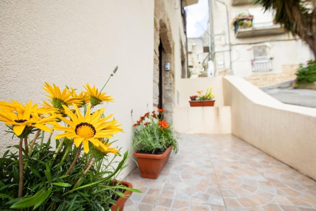 La Domus Di Segesta "Smart Solution" Apartment กาลาตาฟีมี ภายนอก รูปภาพ
